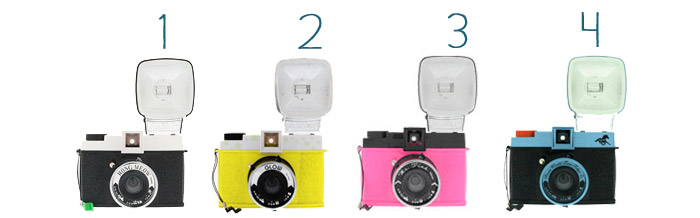 Lomography China: Diana Says Thank You