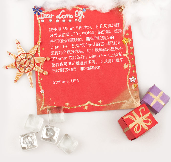 I want Lubitel and Diana F+ for Xmas!