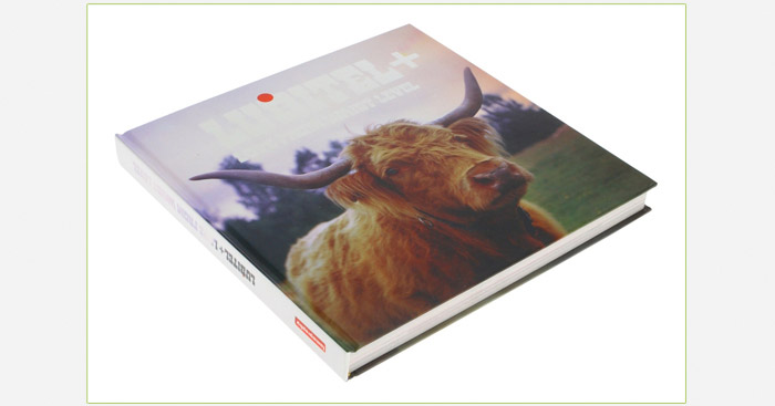 Step inside the Lomography Library!