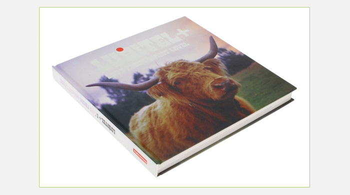 The New Lomography Library Section