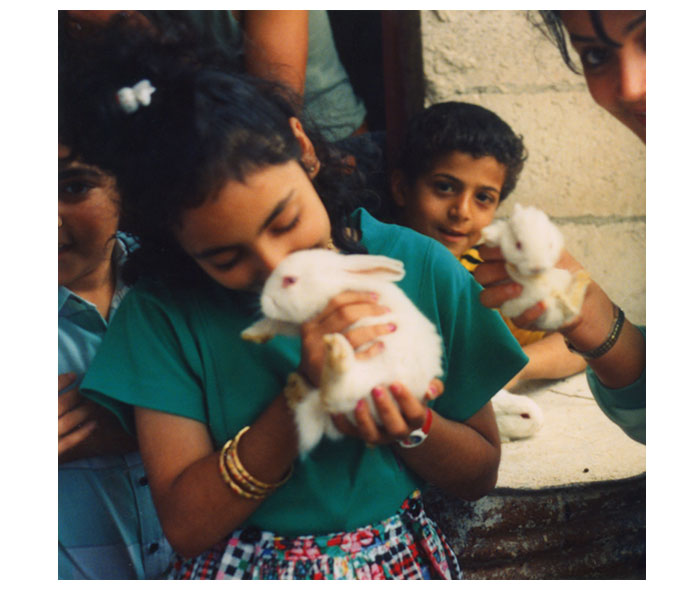 Chinese New Year Lomography Cashback