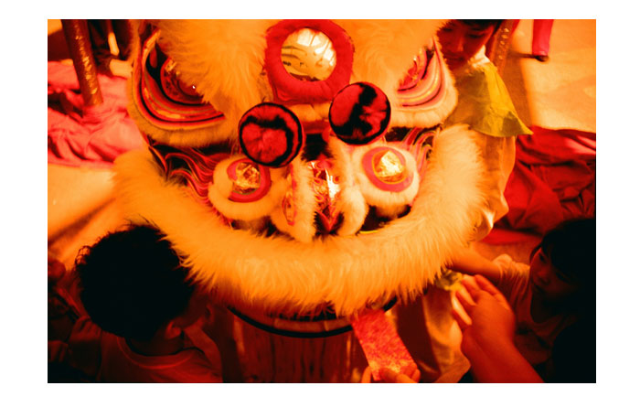 Chinese New Year Lomography Cashback