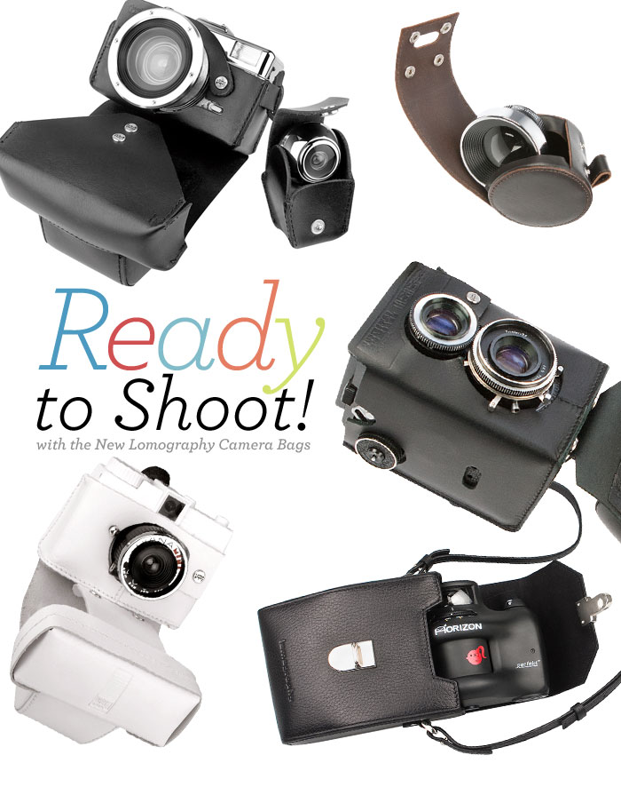 Lomography camera cases