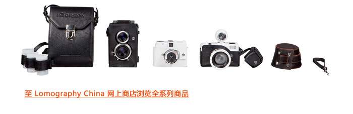 Lomography camera cases
