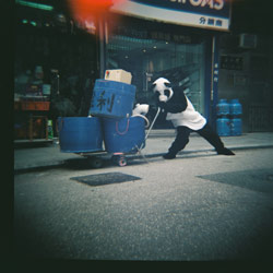Diana F+ Hong Meow