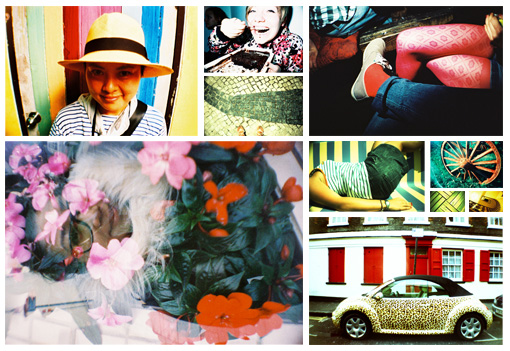 La Sardina Patterns Edition