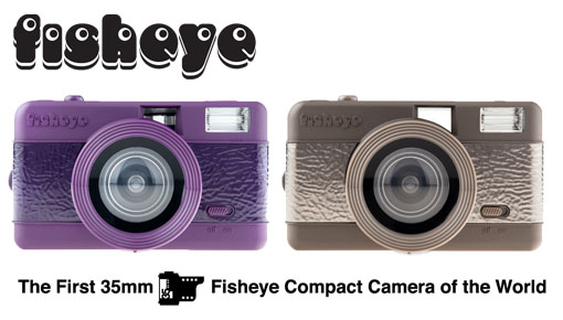 The Fisheye One Olive & Purple