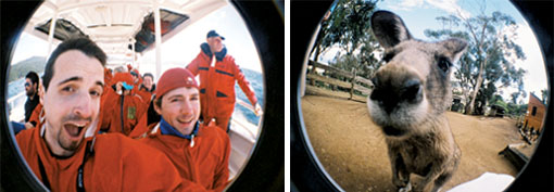 The Fisheye One Olive & Purple