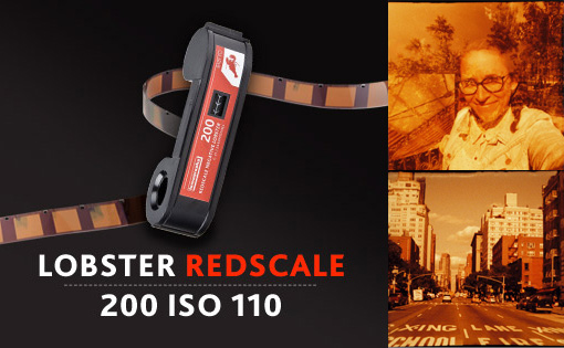 The Lomography Lobster Redscale 110 Film: Redscale Colour Sensation