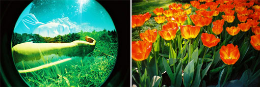 The Diana F+ SPRING OFFER!