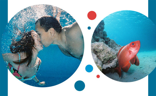 Combo Fisheye One Submarine